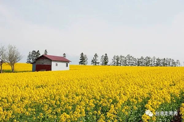 泷川市人口_泷川雅美