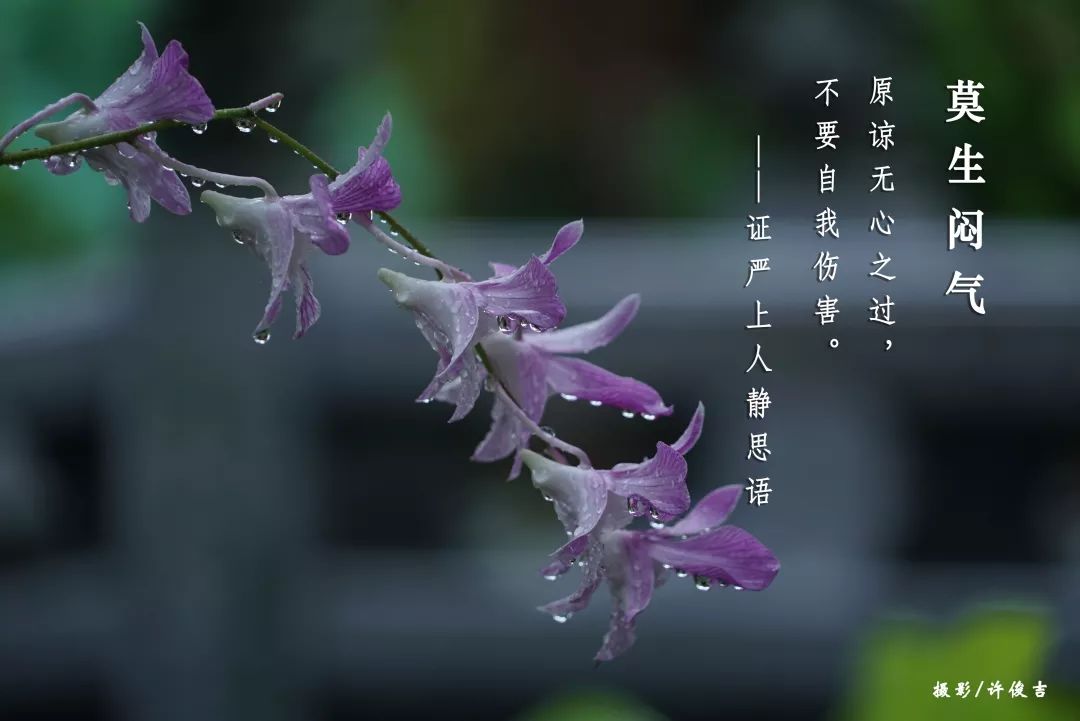 静思语 | 莫生闷气