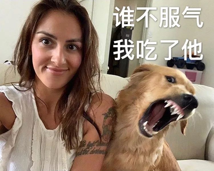 女网友在线求助：我家狗对我好霸道，怎么办？