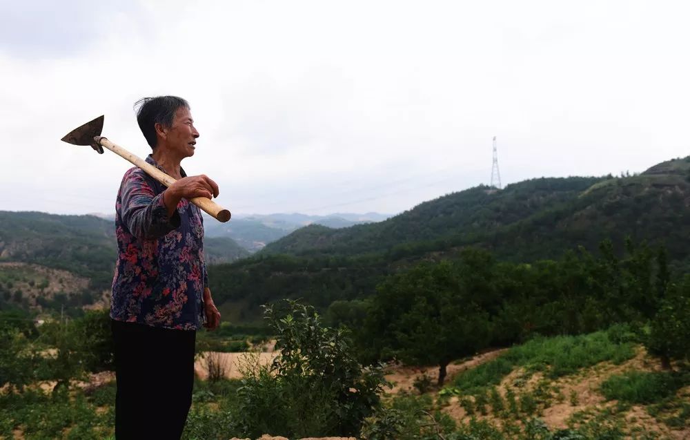 张莲莲:植树38年,造出一片绿洲