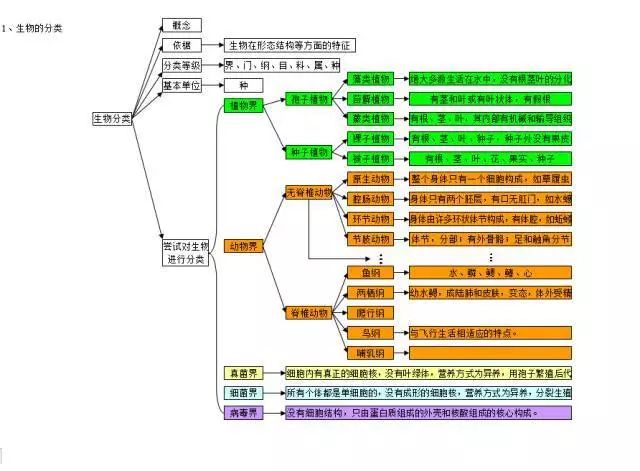 最全初中生物思维导图暑期复习预习必备