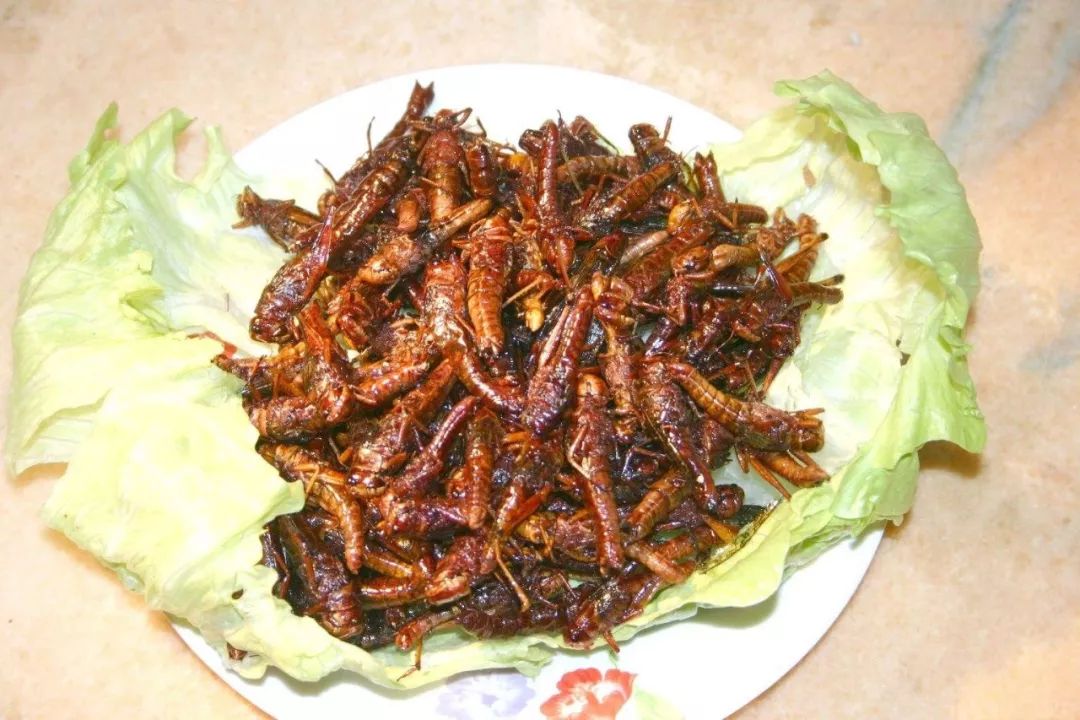 十万人口等饭吃_不干活就没饭吃图片(2)