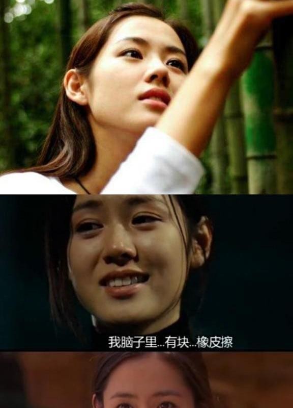 2004年,主演电影《我脑海中的橡皮擦》,创下当时韩国电影在日本上映的