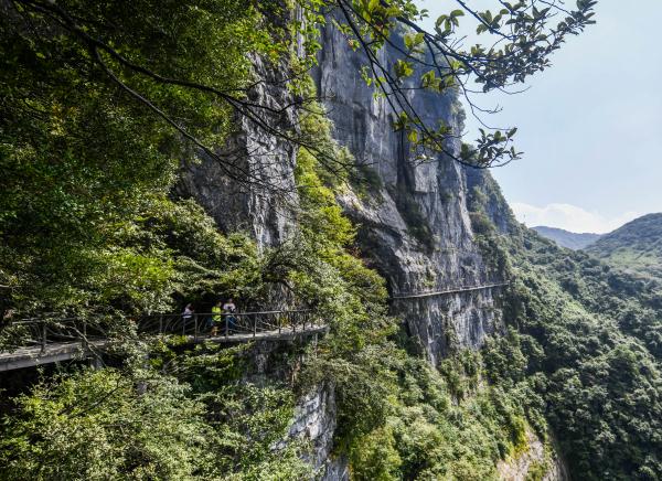 重庆金佛山:喀斯特地貌显奇观