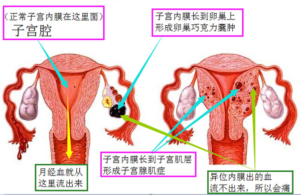 c945cd28060a43d9a143c816a736958c.png