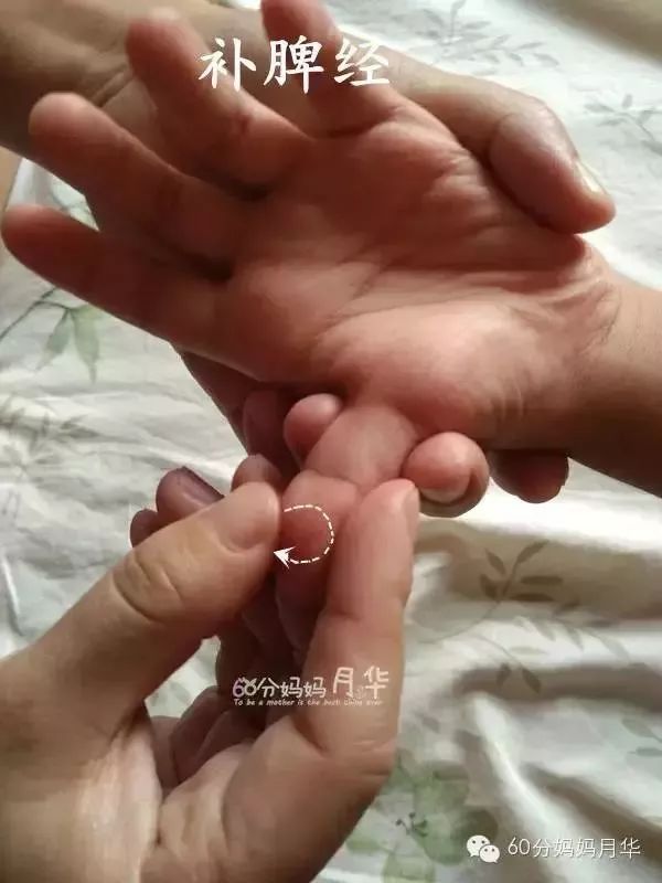                     出伏了，虽然暑热难耐，但也是时候开始养阴润燥了！