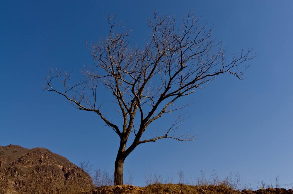 宋村屯村人口