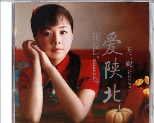 王二妮歌曲简谱_王二妮一对对绵羊简谱