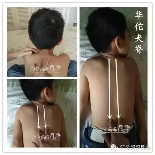                    出伏了，虽然暑热难耐，但也是时候开始养阴润燥了！