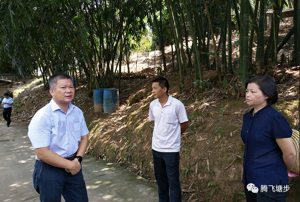 藤县·塘步三黄鸡产业扶贫示范基地