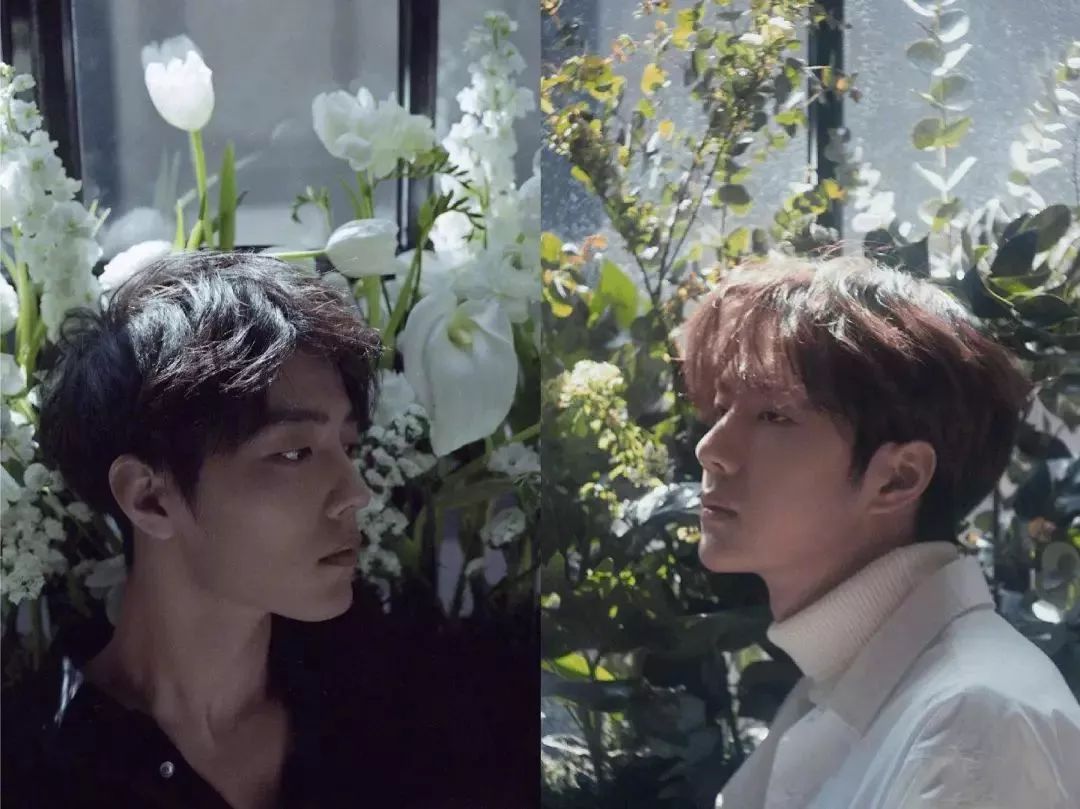 杨紫李现合体封面,你最爱哪一对CP写真?