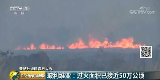 白昼变黑夜!亚马孙森林大火连烧16天,“地球之肺”亟需拯救!