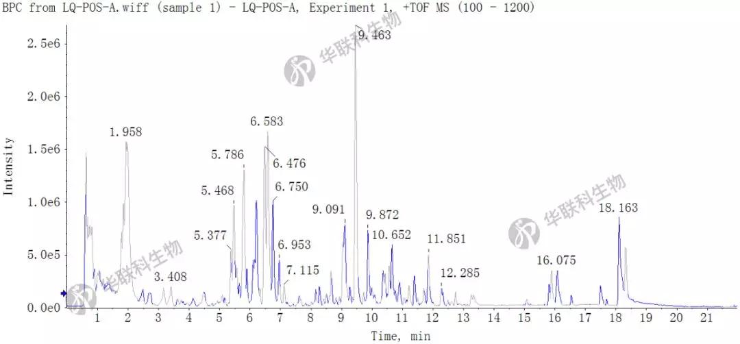 药理学GDP_药理学思维导图