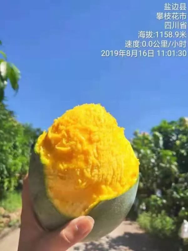 e17b65a21c074caf890e1e1c8e257b3f.jpeg