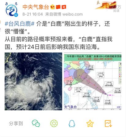 刚刚,台风白鹿生成!直指福建!今日出伏!"最凶险"的34天来了