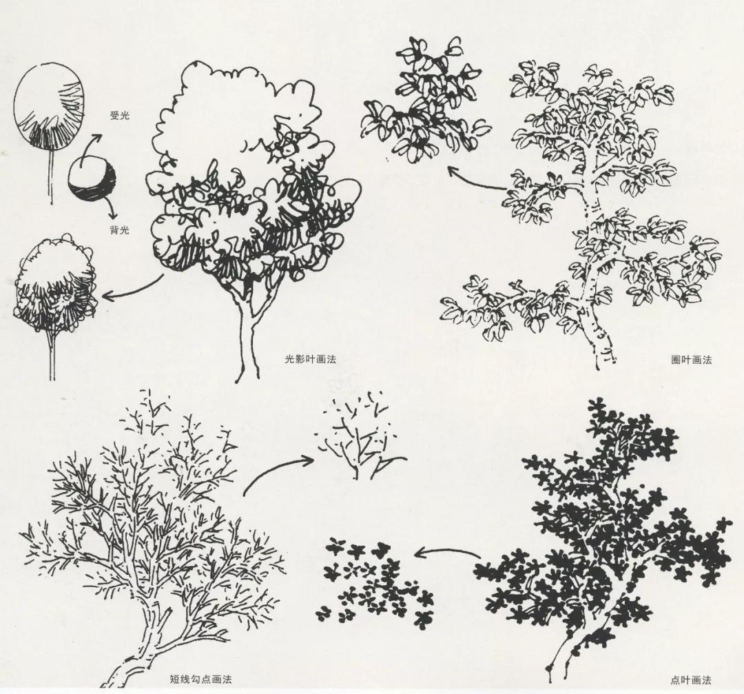 超级干货丨风景速写局部之树木与石头的刻画