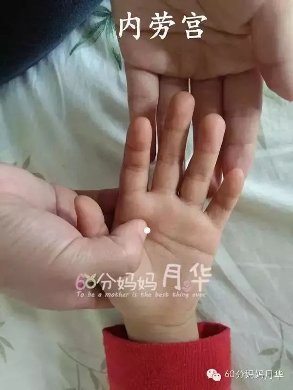                     出伏了，虽然暑热难耐，但也是时候开始养阴润燥了！