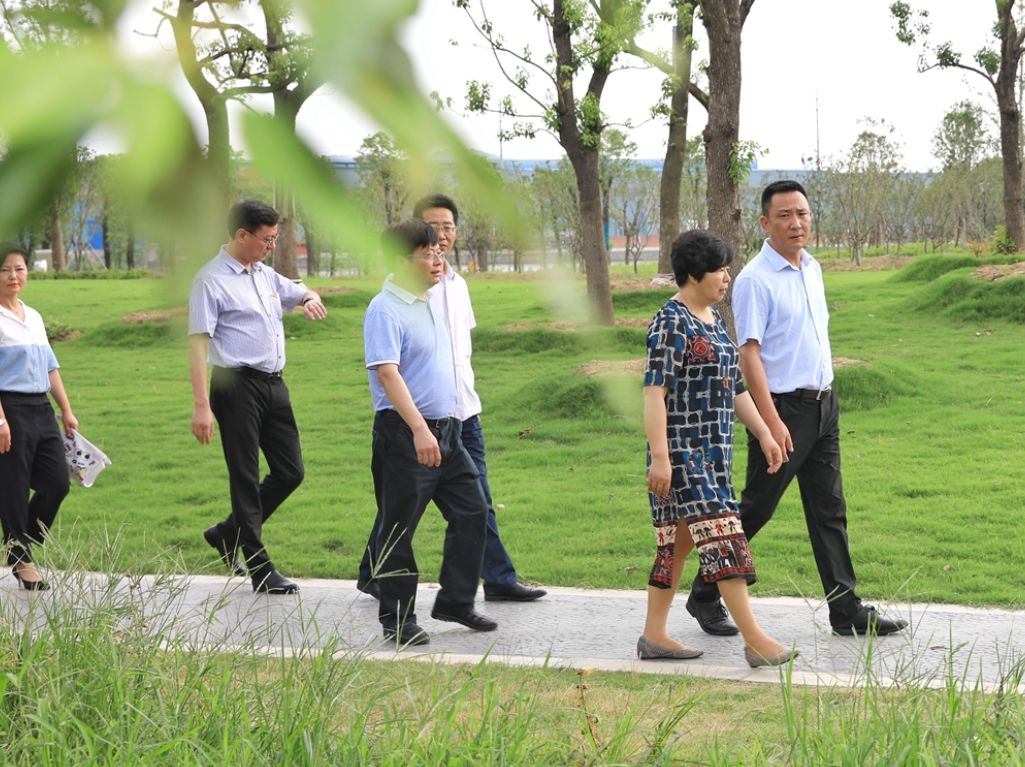 惠山区政协钱桥街道工委主任 王华近年来,我们对洋溪河进行了综合整治