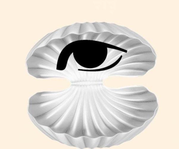 一个贝壳里面一只眼睛猜成语_看图猜成语(2)