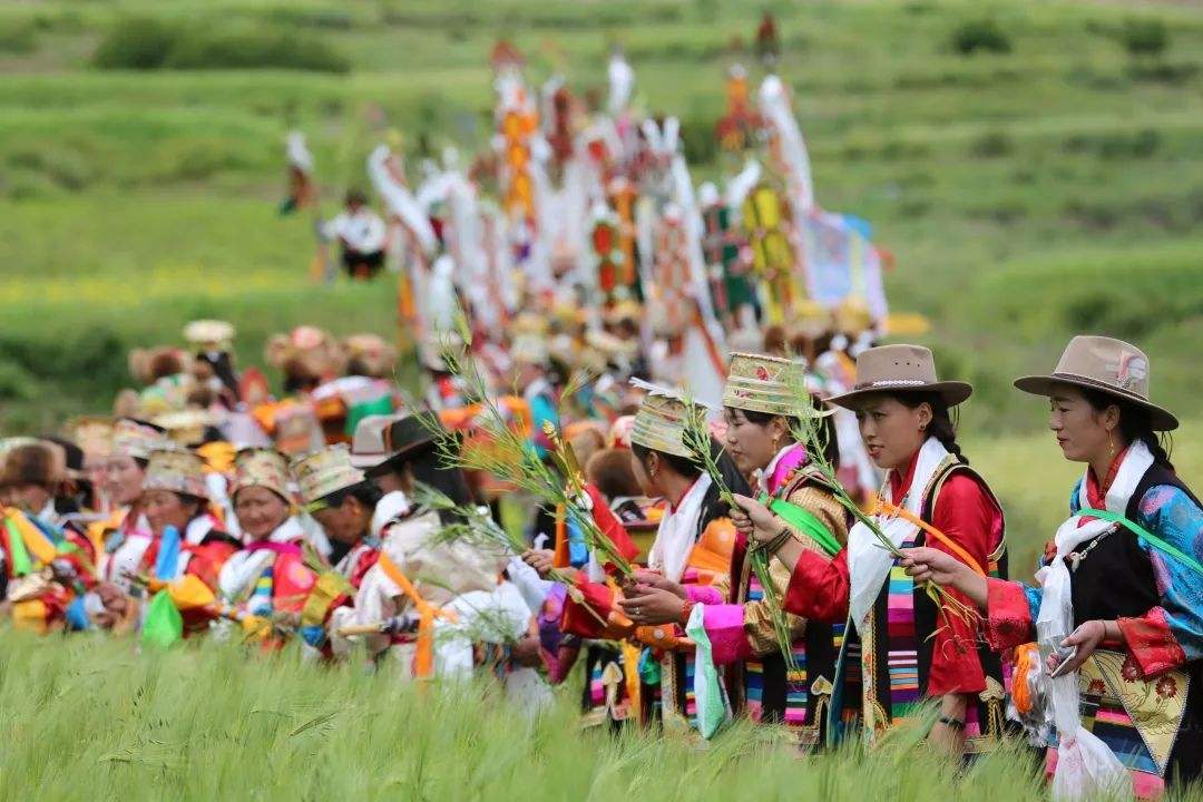 节日气氛:望果节开始时,成群的藏民成群在庄稼地里祭祀,盼庄家丰收,无