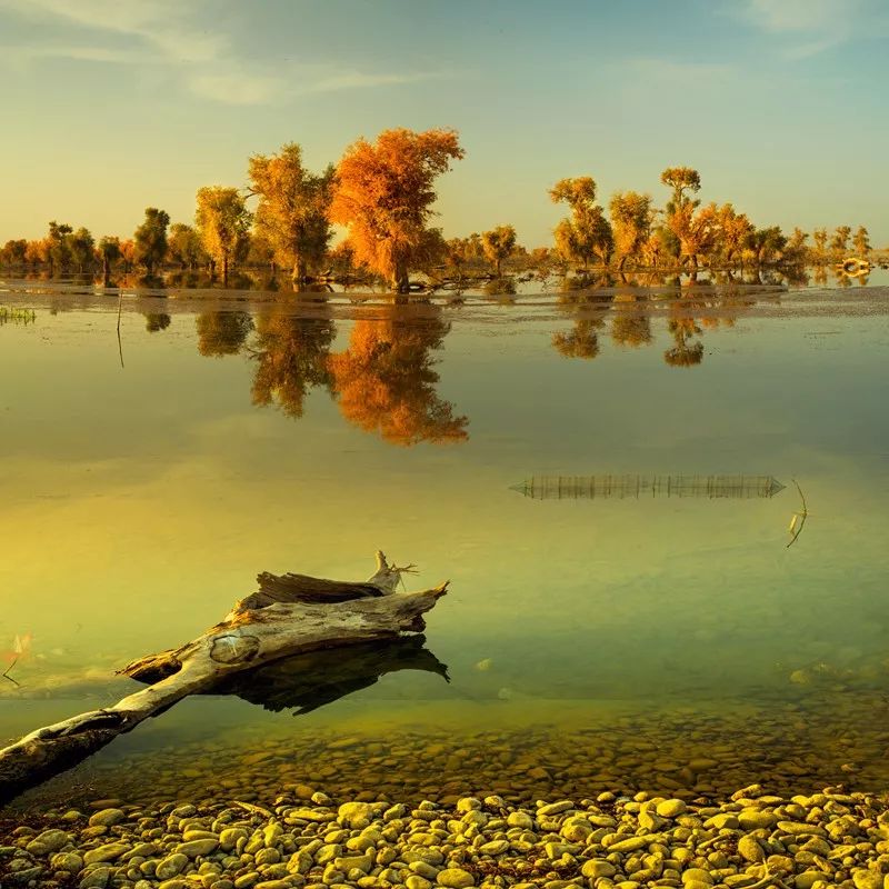 朗诵 | 我的南方和北方