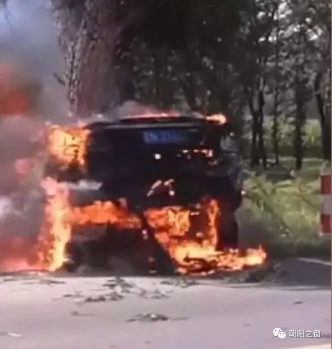 【惨烈车祸】太吓人!朝阳一轿车撞树后起火,瞬间被大火烧光.