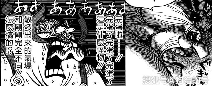 海贼王:盘点奎因弟弟行为,称号也被乔巴拆穿,实