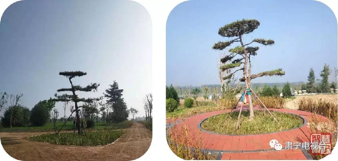 快看肃宁这一旅游好去处已初具规模