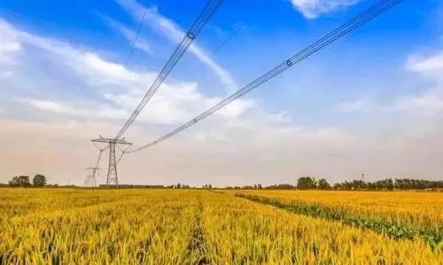 什么是高标准农田有补贴吗 11f3ae2cc70049dc9d1cc286f0b41363.jpeg