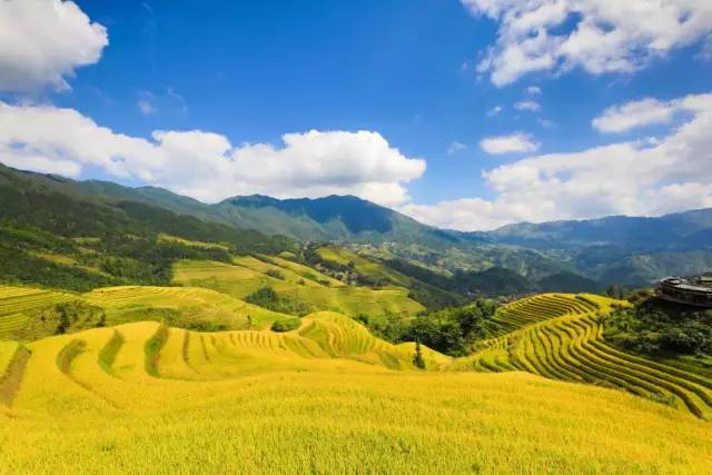 醉美龙脊桂林阳朔动车四天游