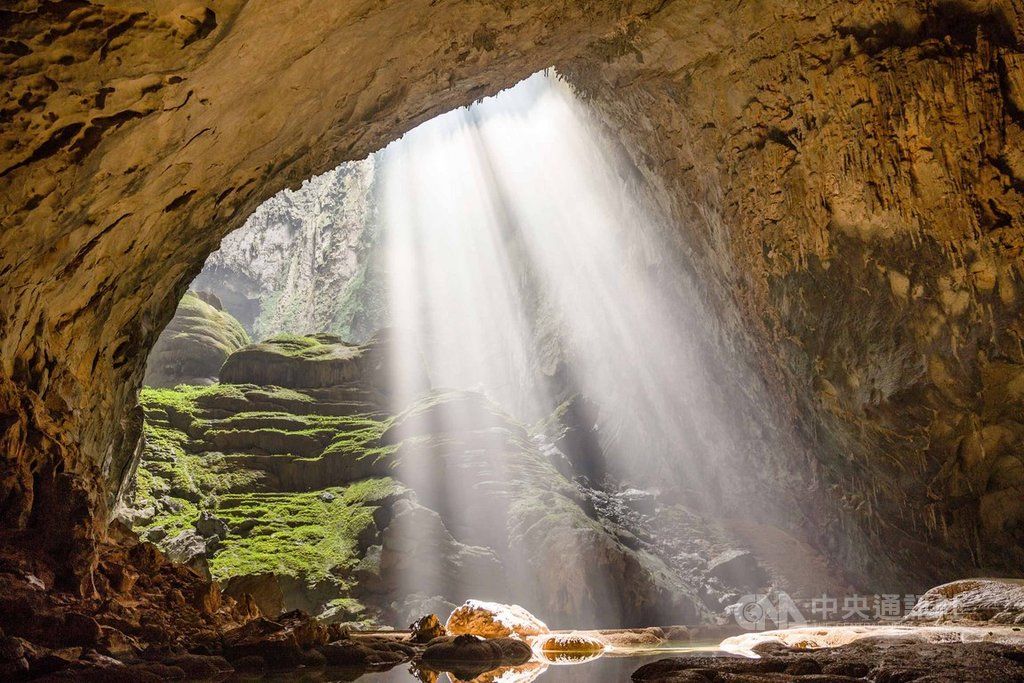 猫耳朵里又脏又油还发炎?猫咪不停甩头,挠耳朵