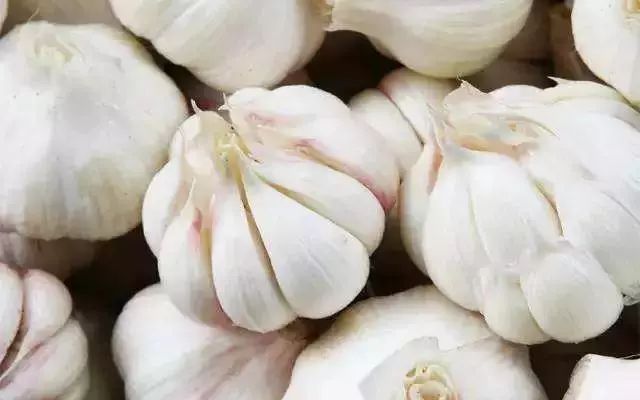 夏天怎样保存大蒜 19d5602072aa42b5baf3c5767c5033e0.jpeg