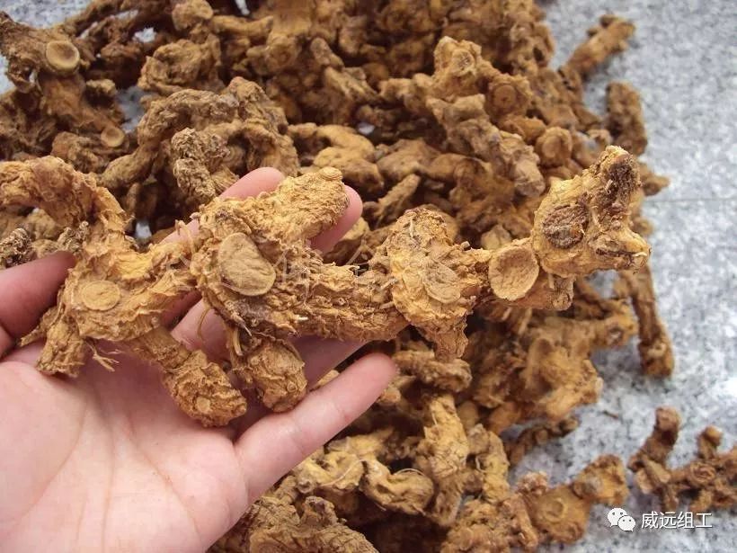 中草药收购价格今日行情 1bbcd0b4d1074b43ad6f148225d28d02.jpeg