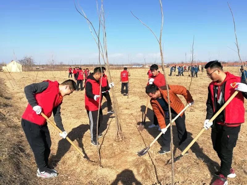 利津县经济总量_利津县高级中学图片