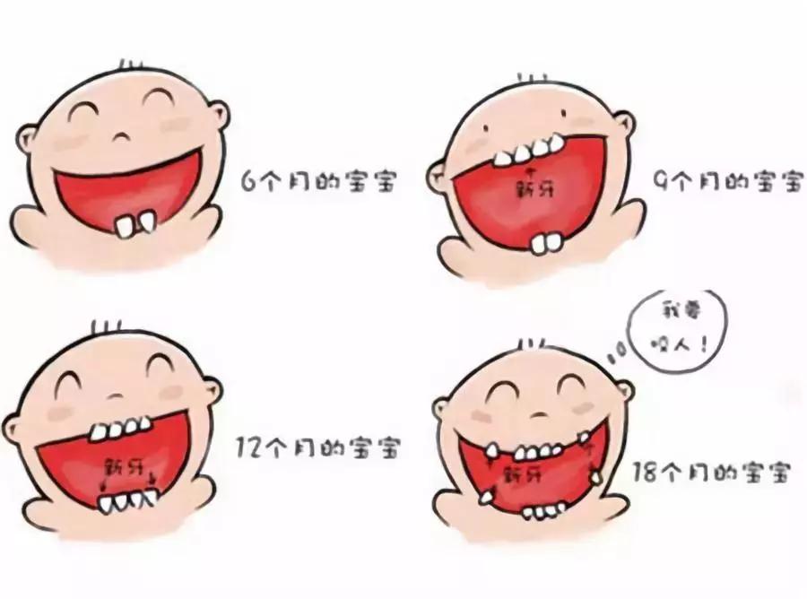 222ed760ba134d789e41369a7acfcc73.JPG