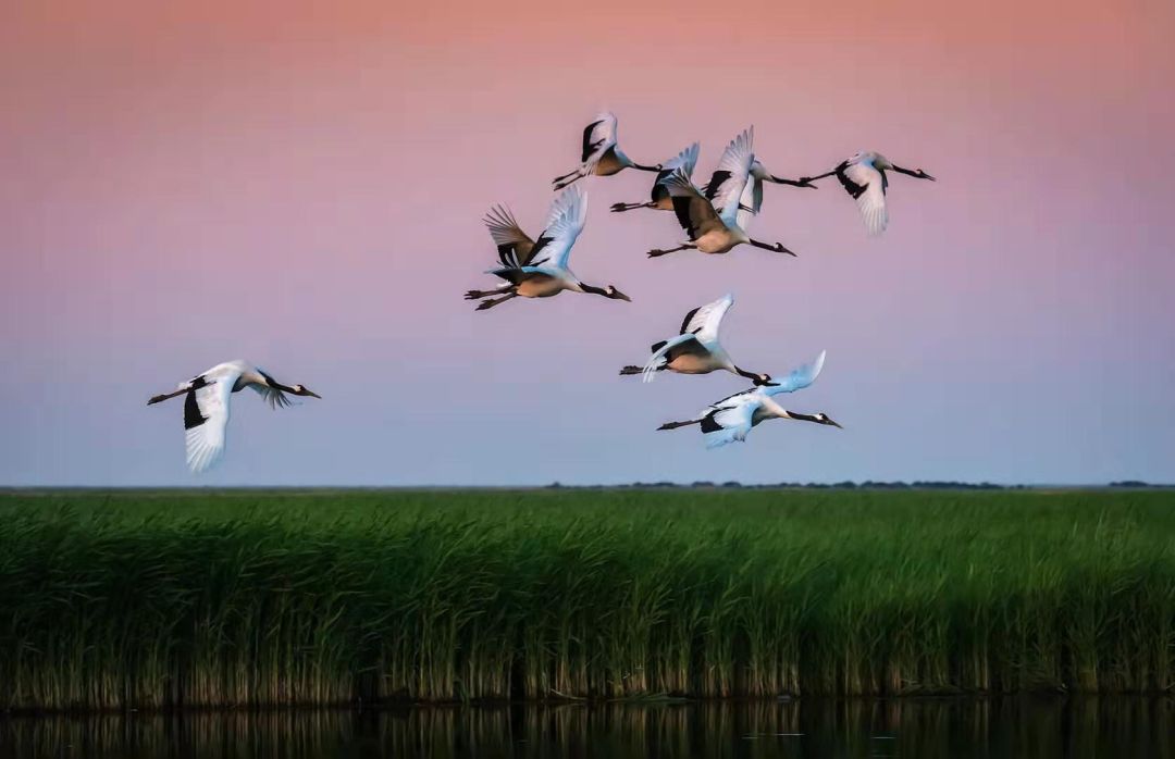 朗诵 | 我的南方和北方