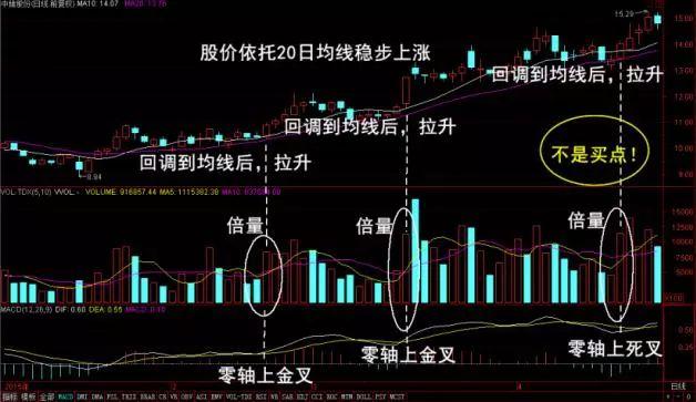 什么是五日均线10日均线20日均线 33cea1f17daa45ca83e82745dcdb941b.jpeg
