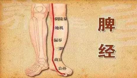 常按摩或者艾灸小腿及脚部的脾经,重点关注阴陵泉,地机穴,三阴交