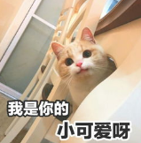 猫毛过敏眼睛痒怎么办