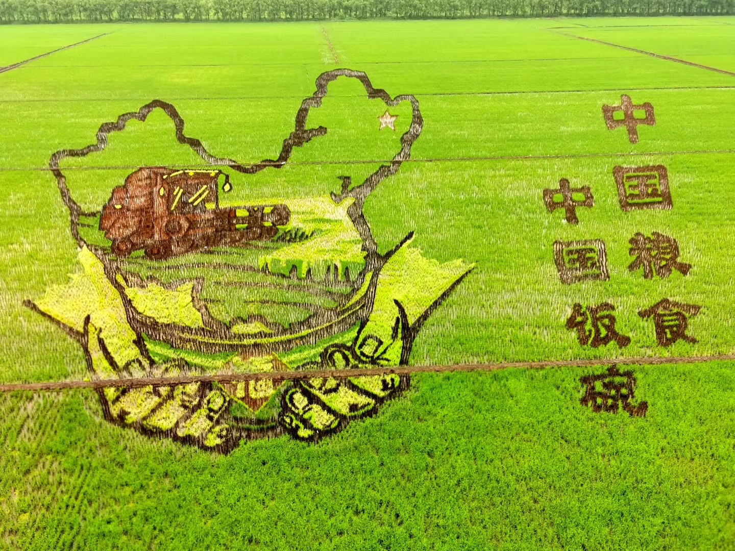成语下乔入什么_成语故事简笔画(3)