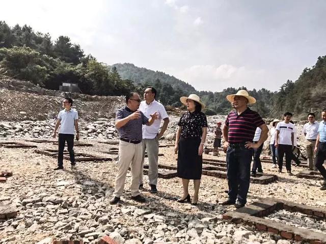 南川区区委书记丁中平等领导莅临乐村兴茂康养旅游度假区调研视察工作