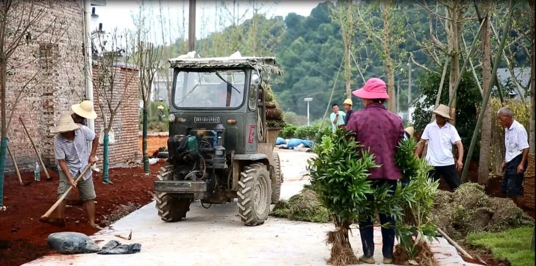 华塘镇吴山村道路两旁绿化今年以来,北湖区重点抓好人居环境示范建设