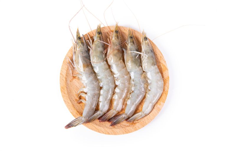 4f333fd710f148259617da1824d20dc4.jpeg