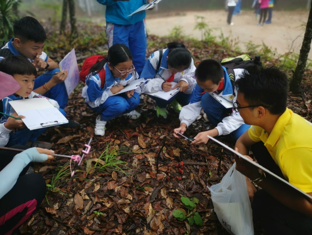 爱中医知中药思茅区青少年活动中心师生中医药研学活动走进淞茂谷