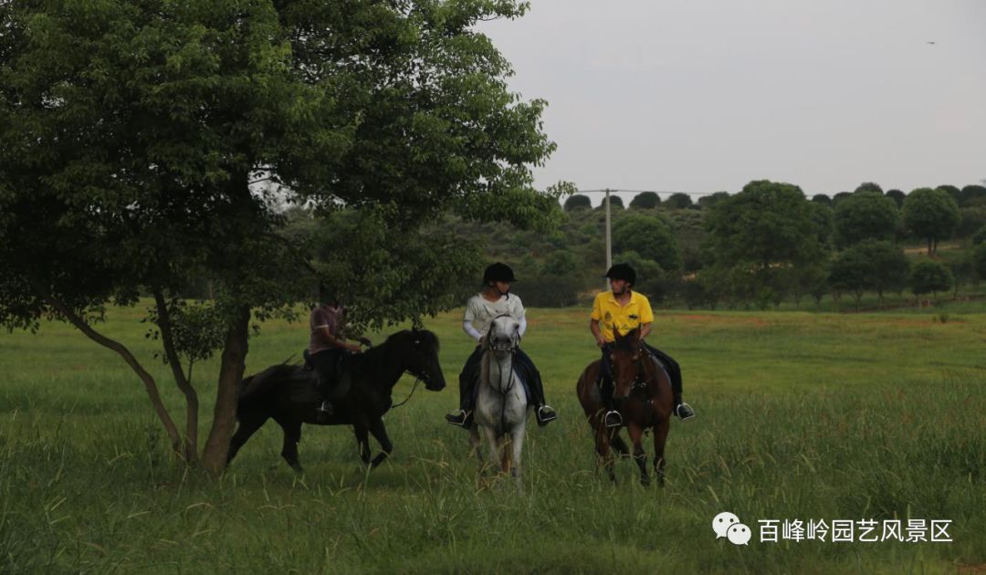 【万张游乐体验券免费送】8月24日万人齐聚百峰岭,共享开园盛典!