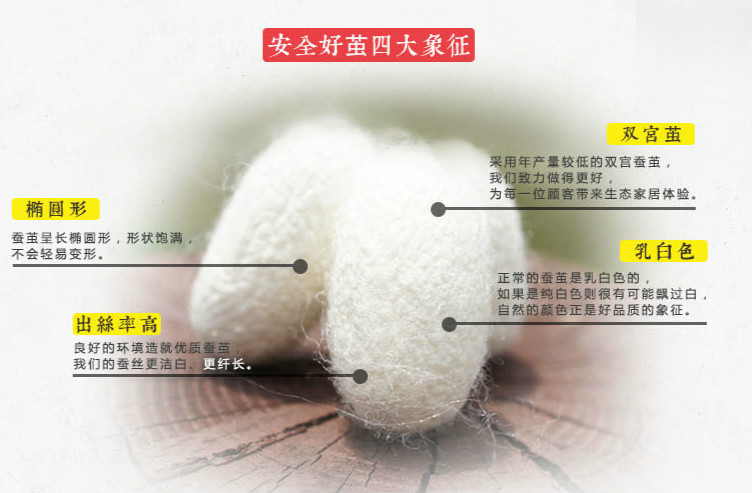                      为什么越来越多的妈妈给孩子选择儿童蚕丝被？