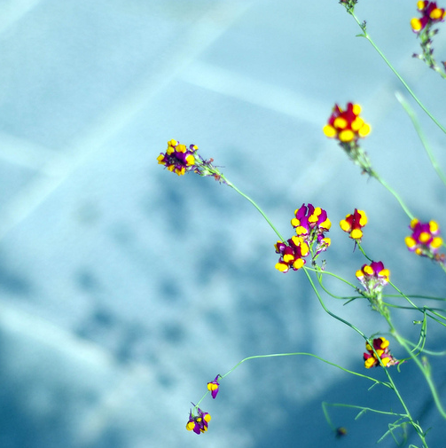 刚刚,2020年考研时间确定!10月10日网上报名