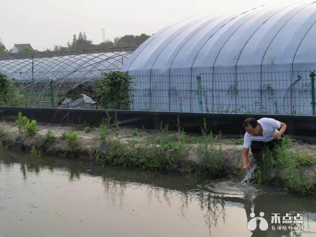 致富经虾_炒虾尾的虾是什么虾_致富虾真的