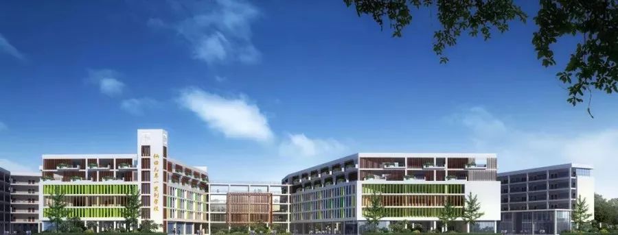 今年9月，龙岗又有3所新建学校开学！_龙岗区