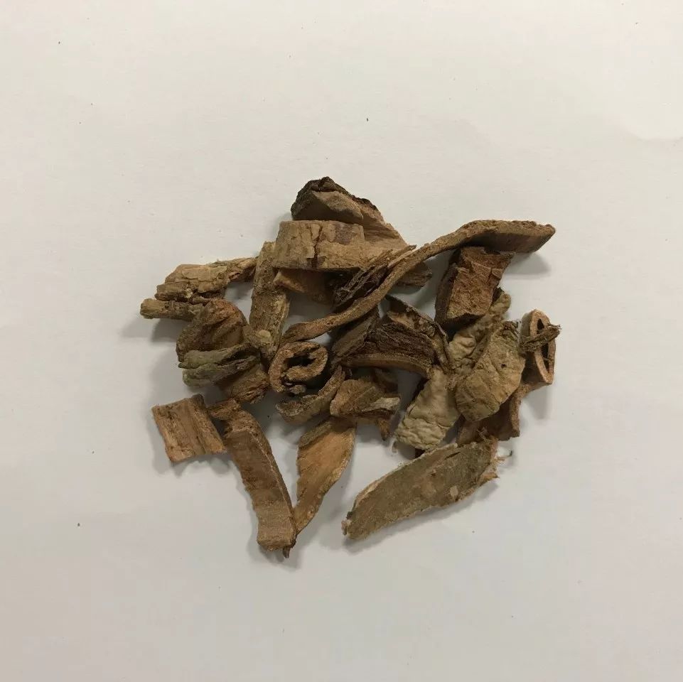 身为亳州人你要知道的亳花粉就是花粉吗